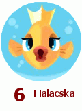 6. Halacska 6. Halacska