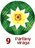9. Párfány virága 9. Párfány virága
