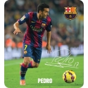 Pedro