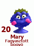 20. Mary Fagyasztott bogyó 20. Mary Fagyasztott bogyó