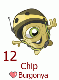 12. Chip Burgonya 12. Chip Burgonya
